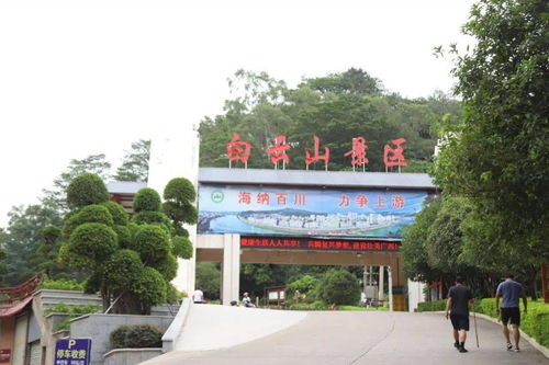 國(guó)慶旅游精品路線 梧州三日游，2條路線隨你選，看遍梧州的山和水 | 綠維文旅推薦