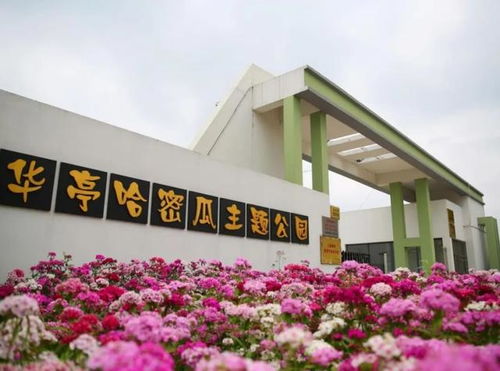 追風(fēng)拾野，詩(shī)意棲居 九條美麗鄉(xiāng)村休閑旅游精品路線全解析